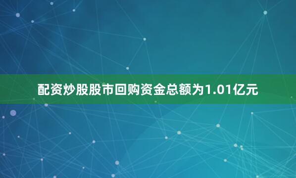 配资炒股股市回购资金总额为1.01亿元