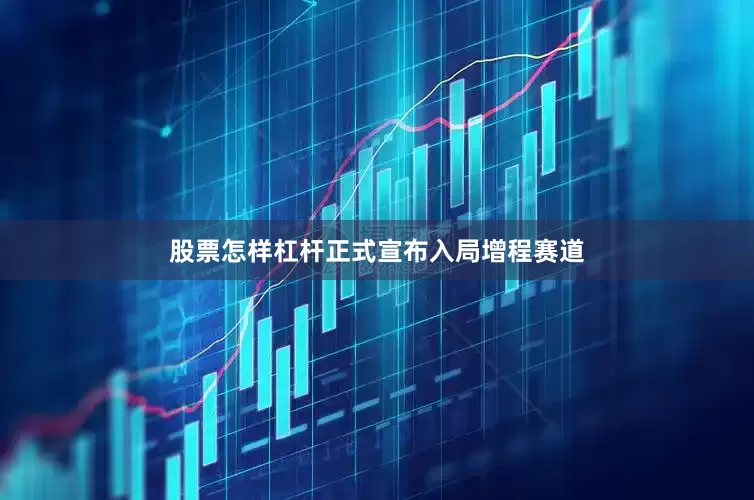 股票怎样杠杆正式宣布入局增程赛道
