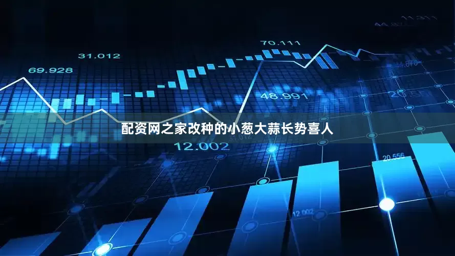 配资网之家改种的小葱大蒜长势喜人