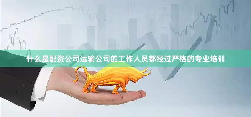 什么是配资公司运输公司的工作人员都经过严格的专业培训