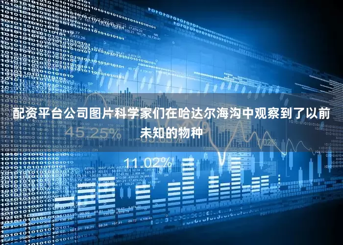 配资平台公司图片科学家们在哈达尔海沟中观察到了以前未知的物种
