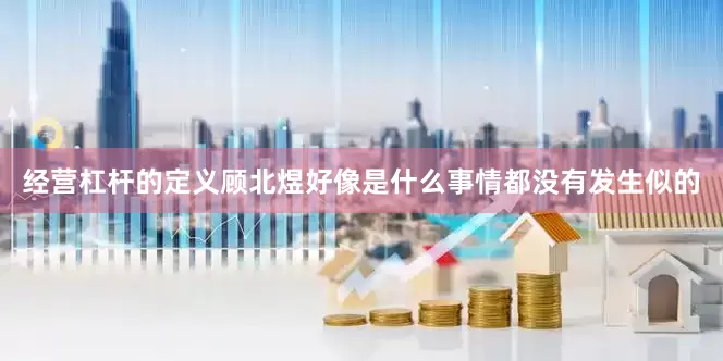 经营杠杆的定义顾北煜好像是什么事情都没有发生似的