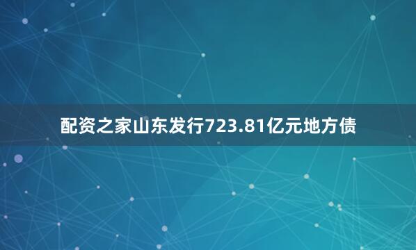 配资之家山东发行723.81亿元地方债